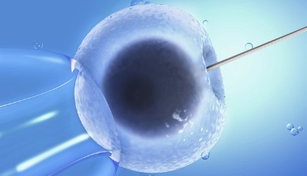 三代试管供卵生男孩